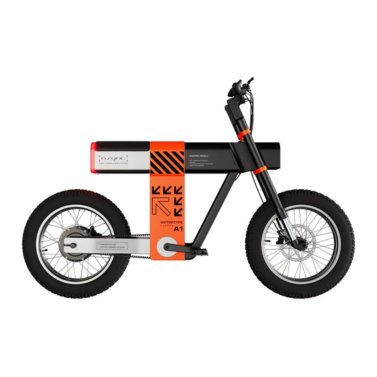 VeloVolt Carbon E-Bike